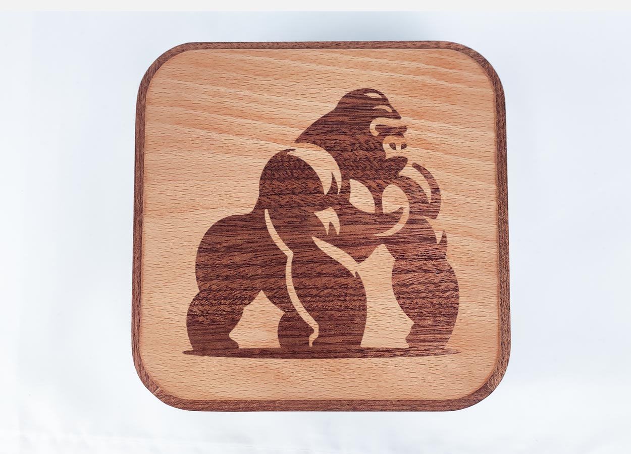 mini PC sipo hêtre gorille